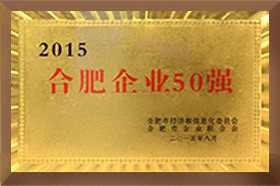 合肥企業50強